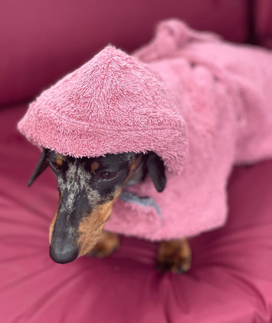 Dachshund Drying Robe: Absorbent Cotton Terry Dog Towel with Hood
