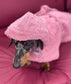 Dachshund Drying Robe: Absorbent Cotton Terry Dog Towel with Hood