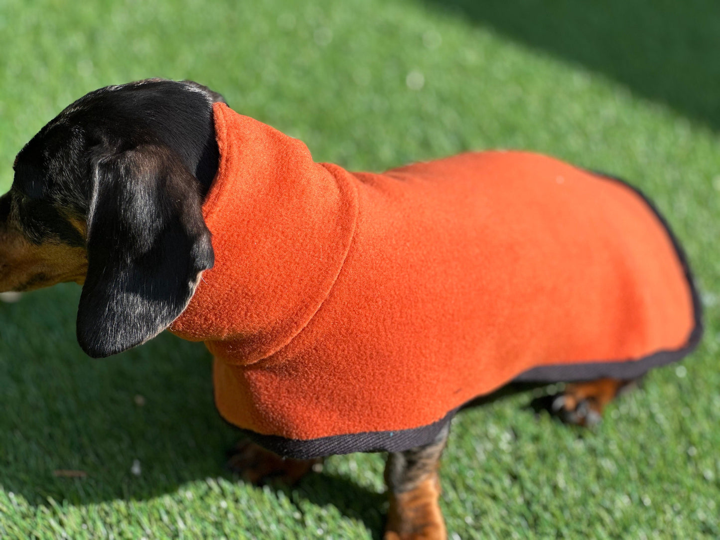 Dachshund Fleece Dog Coat: Mud Replacement, Double Layered, Custom Fit