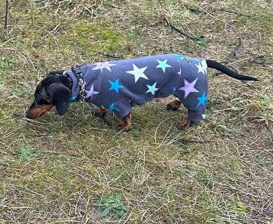 Miniature Dachshund Fleece Onesie: Water Repellent Dog Jumpsuit