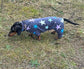 Miniature Dachshund Fleece Onesie: Water Repellent Dog Jumpsuit