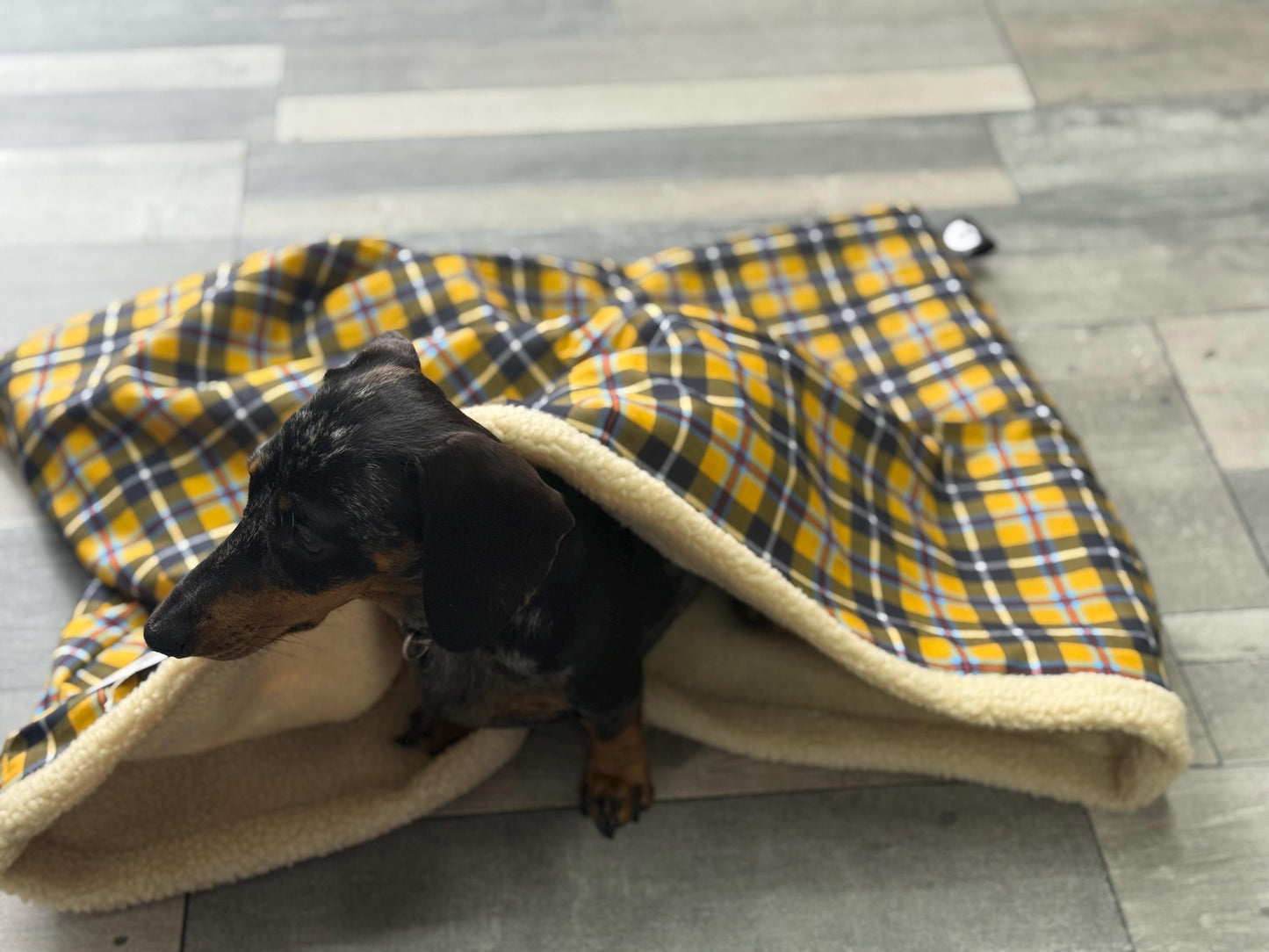 Cornish tartan dachshund snuggle sack ,Pet snuggle sack, puppy warmer,dachshund snuggle sack ,fleece blanket,dog snuggle sack