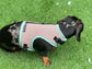 Dachshund harness ,dog harness ,dachshund dog vest ,no arm pit rub harness,rub free harness