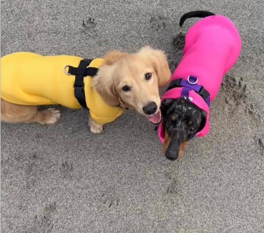 Dachshund Neoprene Jumper: Front Leg Dog Suit, Washable Dog Jumpsuit