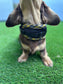 Made-to-Measure Dachshund Harness: Cornish Tartan Trim, No-Rub Design