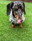 Leopard Print Dachshund Fleece Jumper: Water Repellent Dog Suit