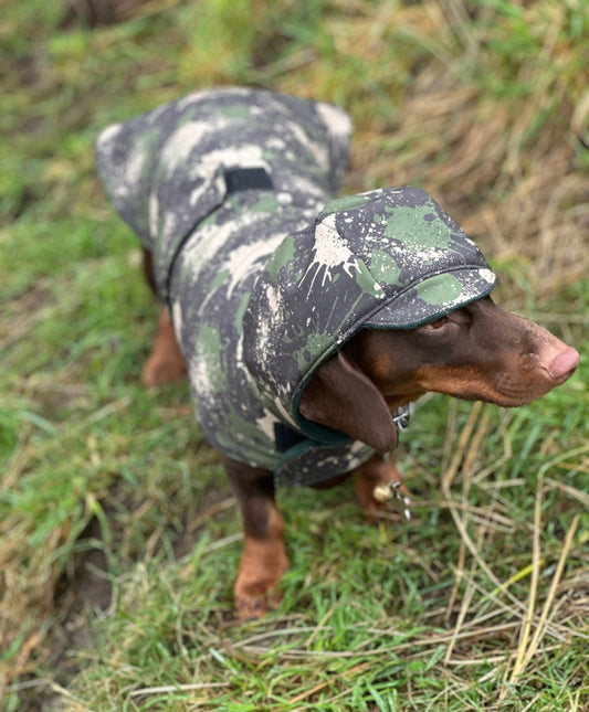 Waterproof Dachshund Softshell Dog Coat: Fleece Lined, Windproof