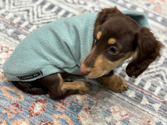 Waterproof Dachshund Fleece Jacket: Mud Repellent Soft Shell Tummy