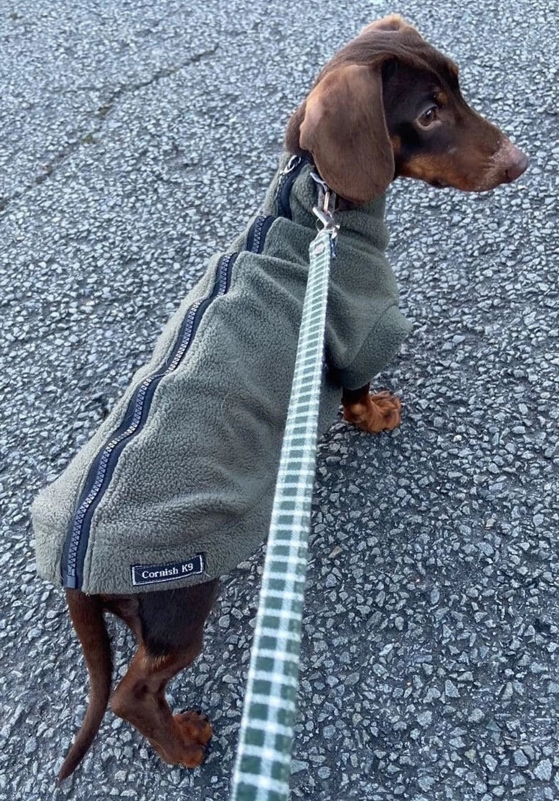 Dachshund Fleece Dog Jumper: Water & Mud Repellent, Zipped Tankie.