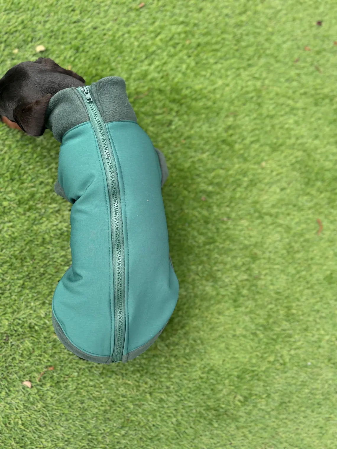 Dachshund water resistant zipped jumper Softshell Dog Coat Mud Repellent.