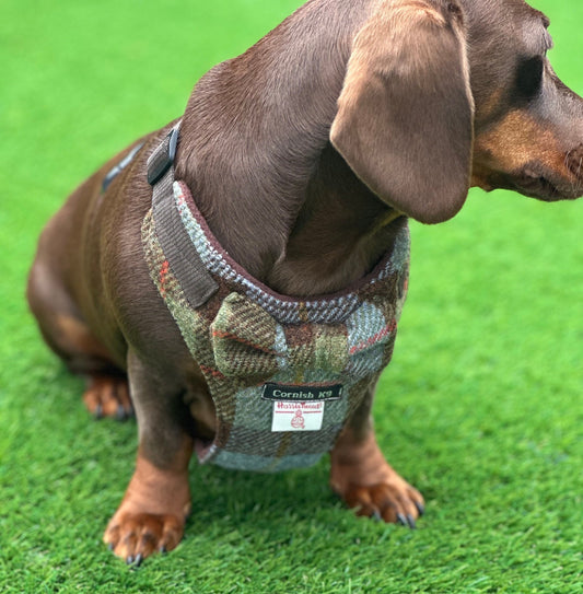 Harris Tweed Dachshund Harness: Padded Fleece, No-Choke Design