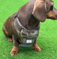 Harris Tweed Dachshund Harness: Padded Fleece, No-Choke Design