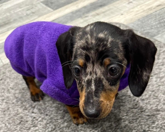 Water-Resistant Dachshund Fleece Jumper: Warm Puppy Coat