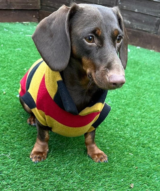 Dachshund Fleece Dog Jumper: Breathable, Washable, Open Neck