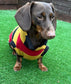 Dachshund Fleece Dog Jumper: Breathable, Washable, Open Neck
