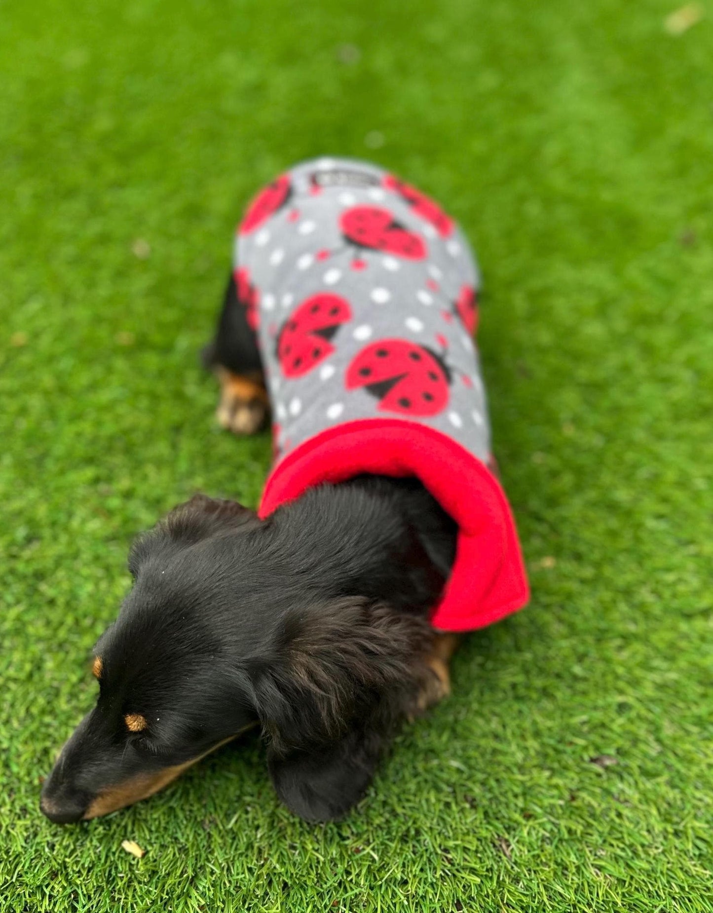 Dachshund Fleece Dog Coat: Double Layered, Water Repellent