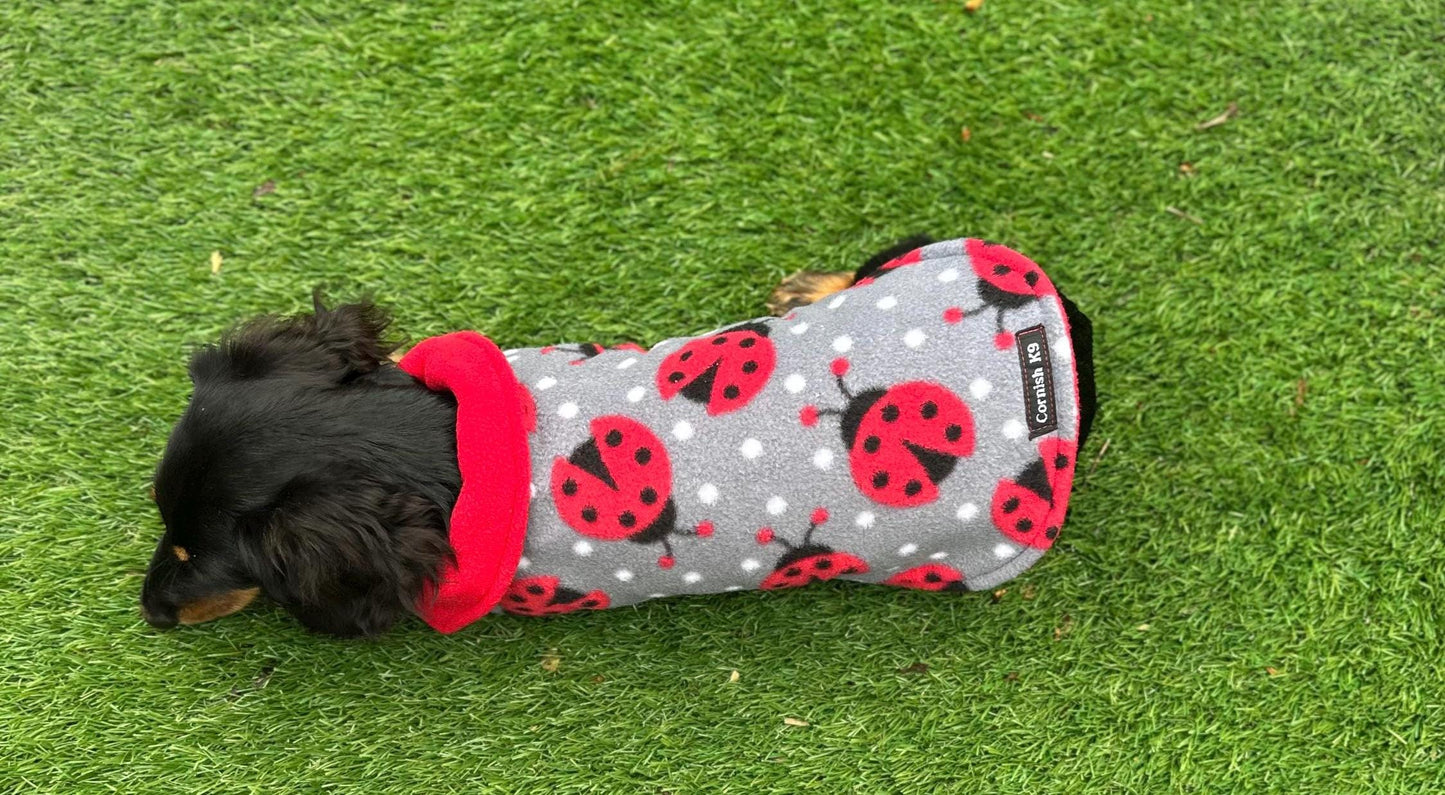 Dachshund Fleece Dog Coat: Double Layered, Water Repellent
