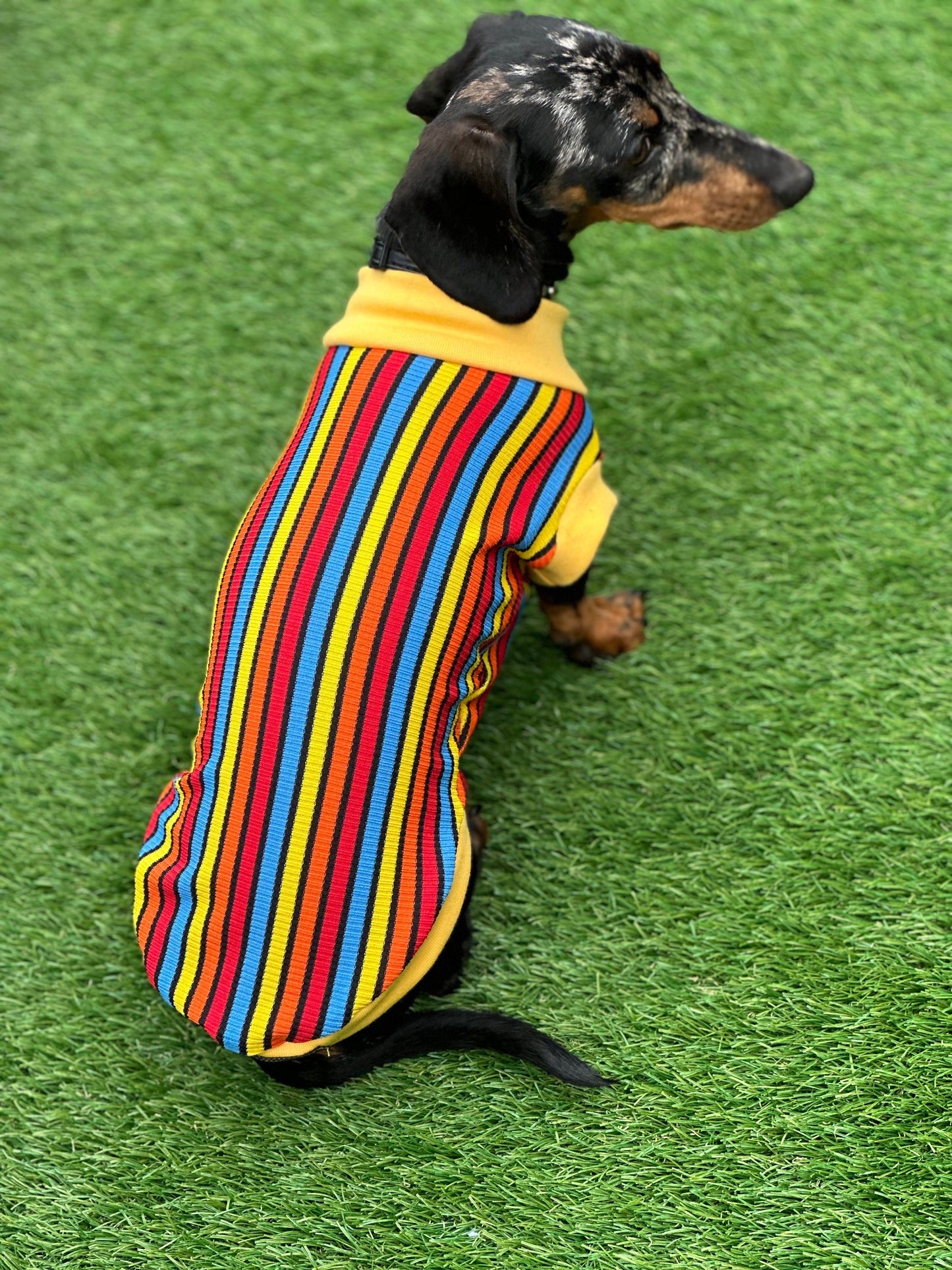 Striped Rib Jersey Dachshund Jumper: Washable Dog T-Shirt