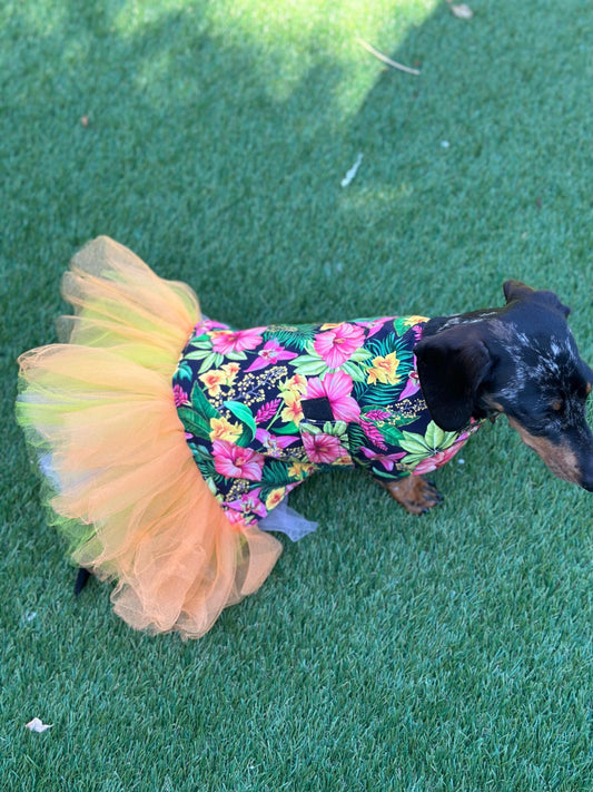 Dachshund tutu dog dress ,  dog dress , dog tutu ,dachshund tutu , pet accessories, dog party dress