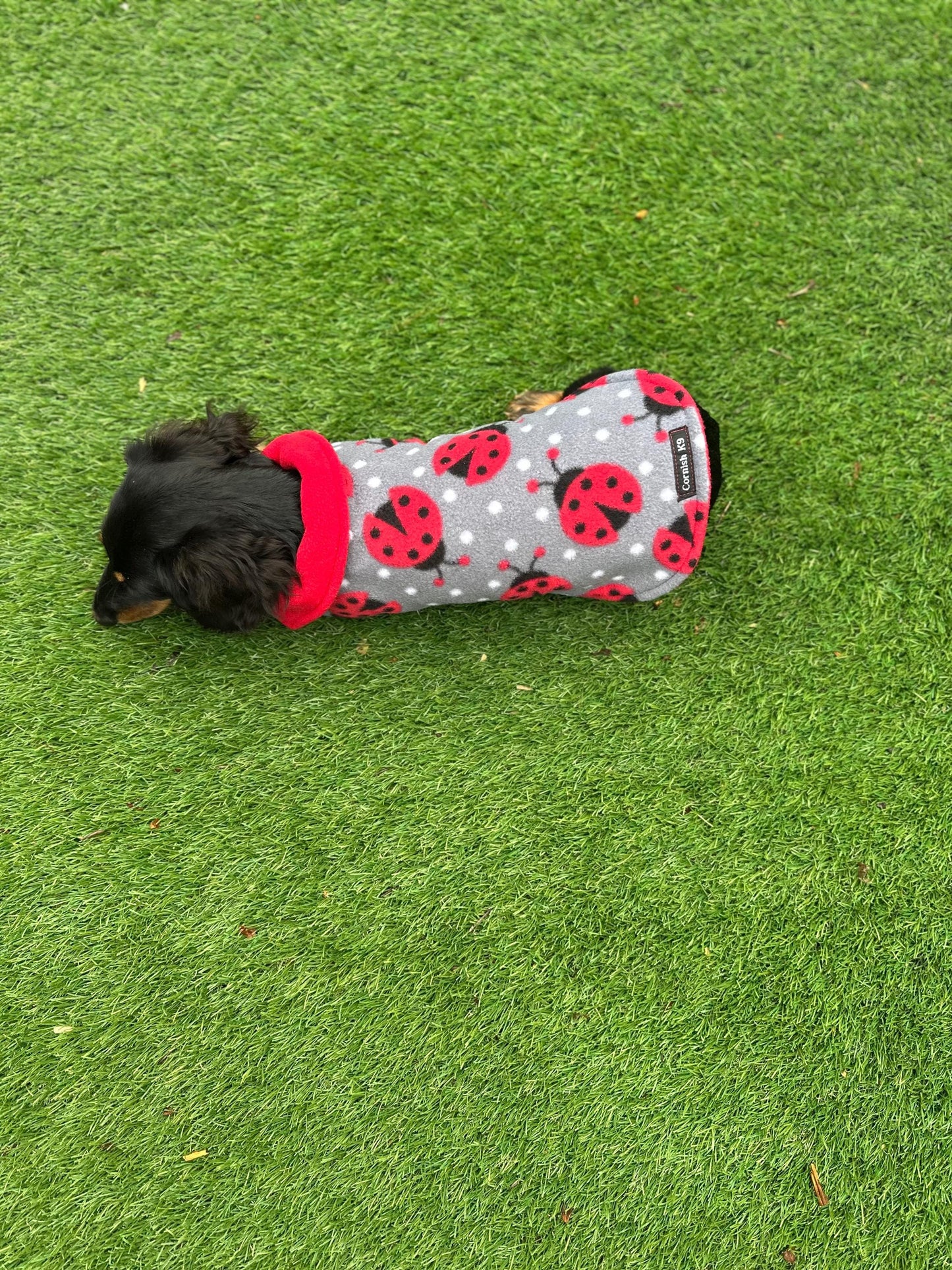 Dachshund Fleece Dog Coat: Double Layered, Harness Hole, Handmade