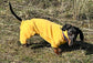 Mini Dachshund Neoprene Onesie: Stretchy Dog Jumpsuit