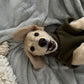 Personalized Dachshund Fleece Dog Jumper: Water Repellent, Breathable