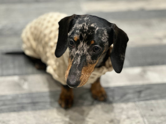 Dachshund Minky Fleece Dog Jumper: Washable, Soft Polyester
