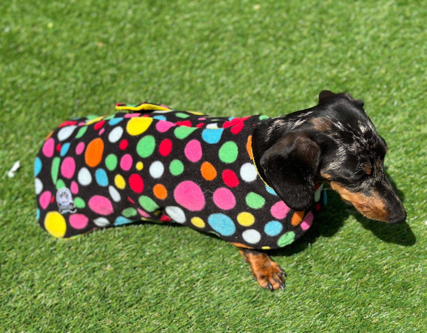 Polka Dot Dachshund Fleece Dog Coat: Double Layered, Breathable, Washable