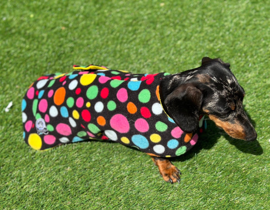 Polka Dot Dachshund Fleece Dog Coat: Double Layered, Breathable, Washable