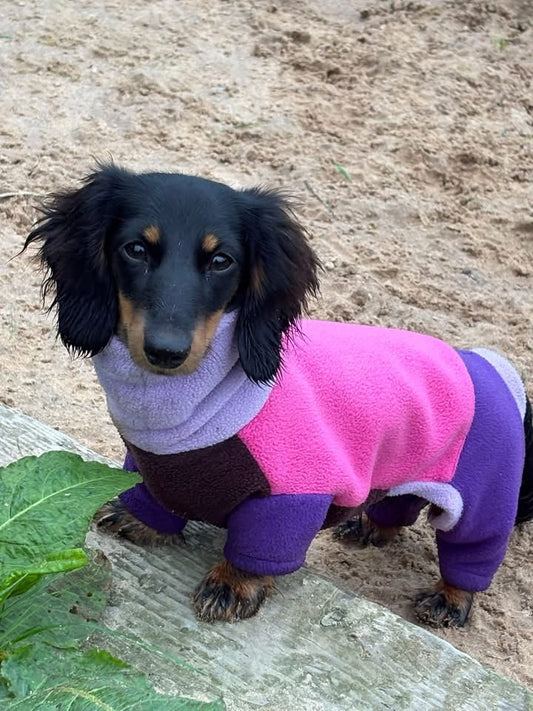 Miniature Dachshund Fleece Onesie: Water Repellent Dog Jumpsuit