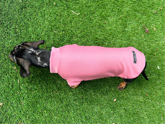 Dachshund Scuba Crepe Jumper: Washable Dog Tank Top