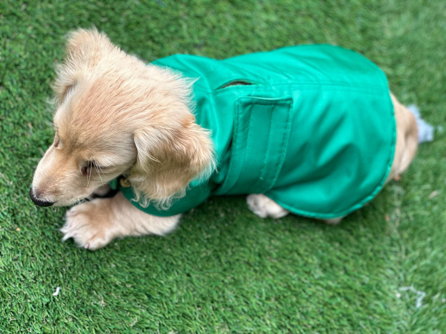 Waterproof Fleece-Lined Dachshund Coat: Lightweight Spring Dog Apparel