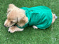 Waterproof Fleece-Lined Dachshund Coat: Lightweight Spring Dog Apparel