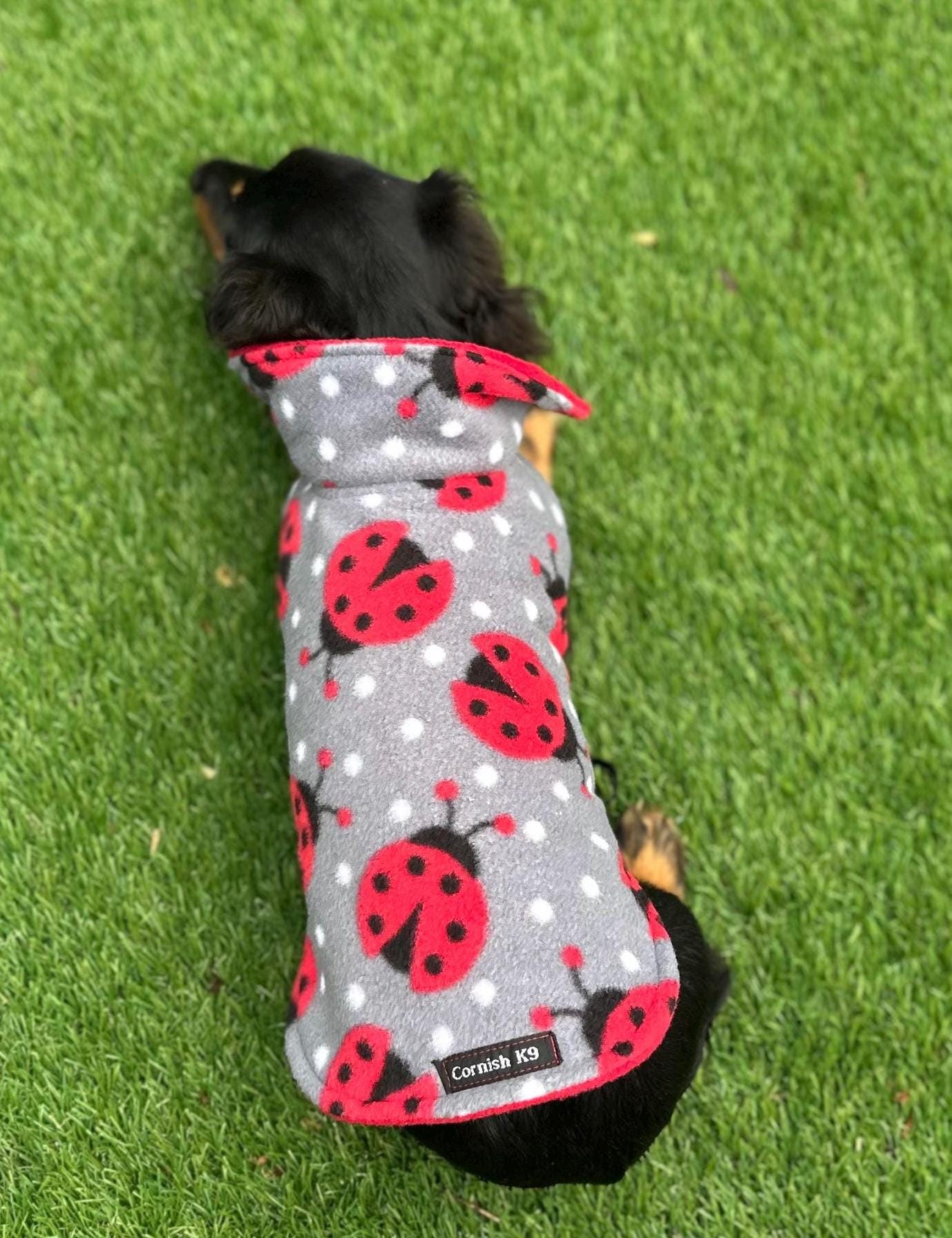 Dachshund Fleece Dog Coat: Double Layered, Harness Hole, Handmade