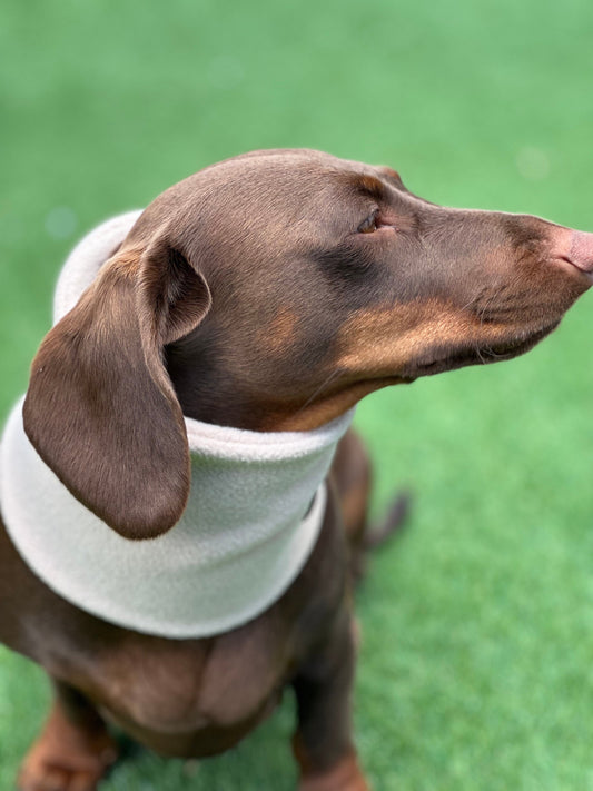 Dachshund Fleece Snood: Dog Neck Warmer