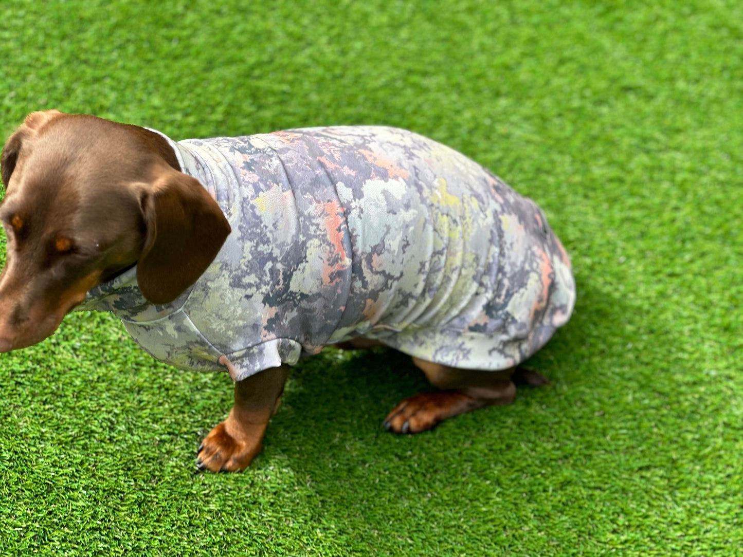 Dachshund Scuba Crepe Jumper: Washable Dog Tank Top