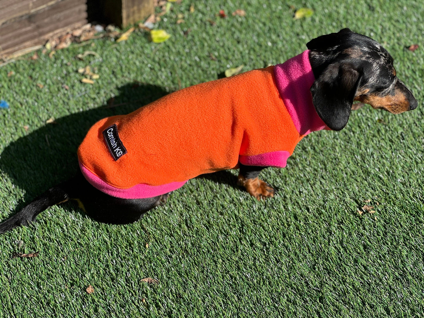 Water Repellent Dachshund Fleece Jumper: Open Neck Dog Coat