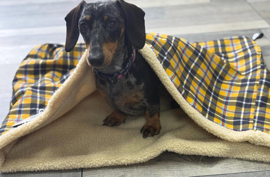Cornish tartan dachshund snuggle sack ,Pet snuggle sack, puppy warmer,dachshund snuggle sack ,fleece blanket,dog snuggle sack