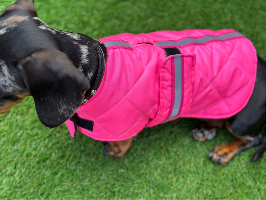Flo Pink Quilted Dachshund Dog Coat: Waterproof Winter Jacket
