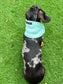Dachshund Fleece Scarf: Dog Neck Warmer