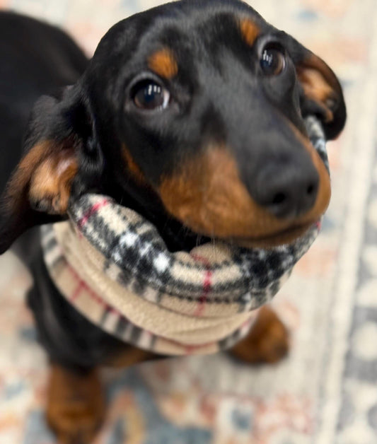 Personalized Dachshund Snood: Tartan Fleece Dog Neck Warmer