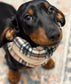Personalized Dachshund Snood: Tartan Fleece Dog Neck Warmer