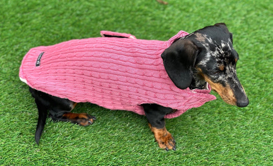 Cable Knit Dachshund Coat: Fleece Lined Dog Jacket