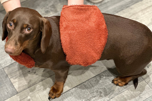 Terry Towelling Dog Drying Mitts: Absorbent Pet Bath Glove
