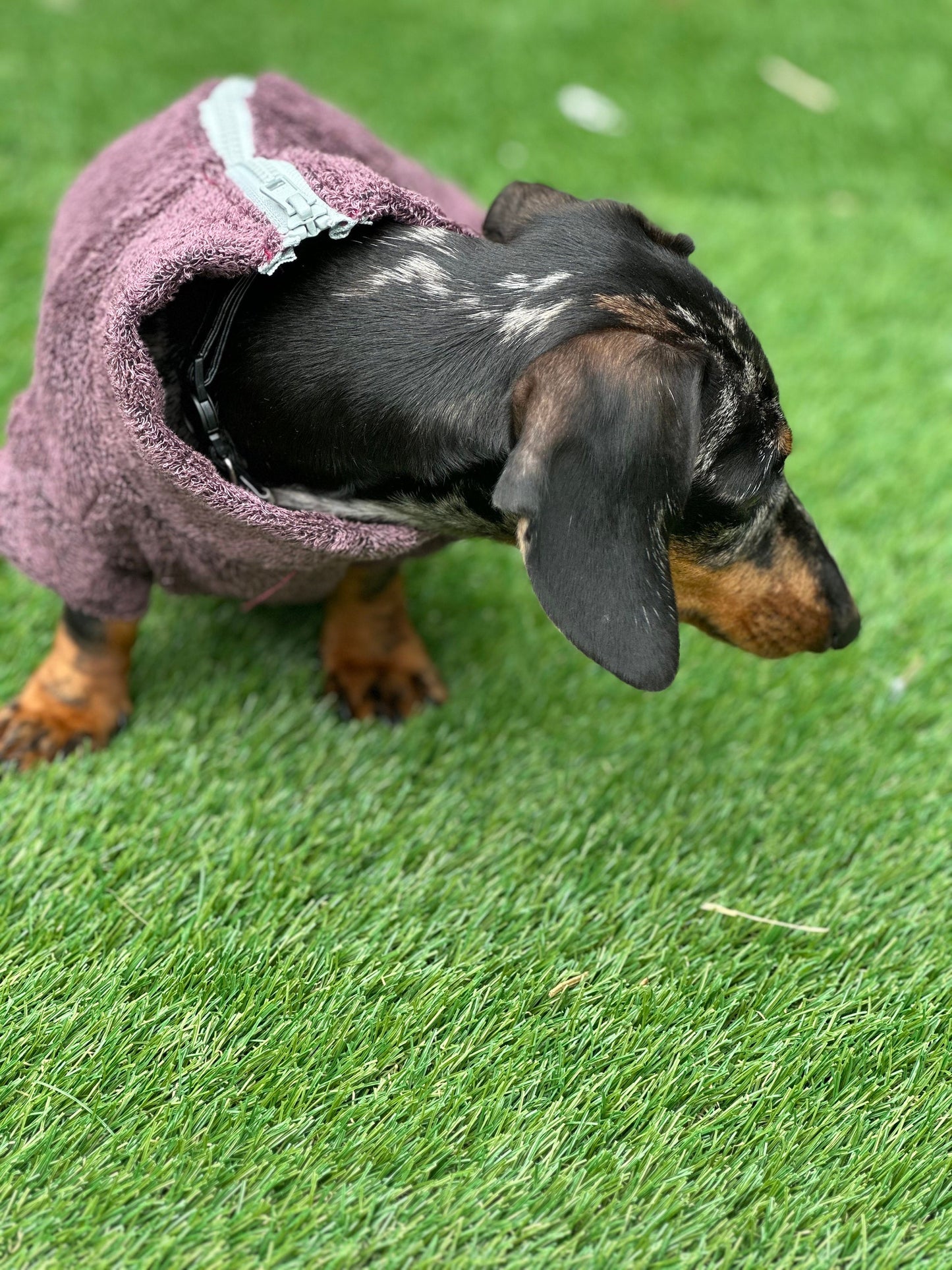 Dachshund Bamboo Drying Robe: Antibacterial Zipped Dog Towel