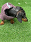 Dachshund Bamboo Drying Robe: Antibacterial Zipped Dog Towel