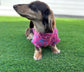 Dachshund Heart Fleece Dog Coat: Water Repellent, Breathable Jumper
