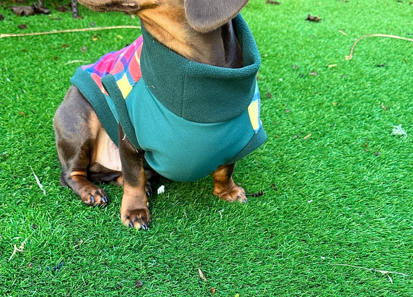 Tartan Dachshund Fleece Jumper: Waterproof Softshell Tummy, Cornish K9