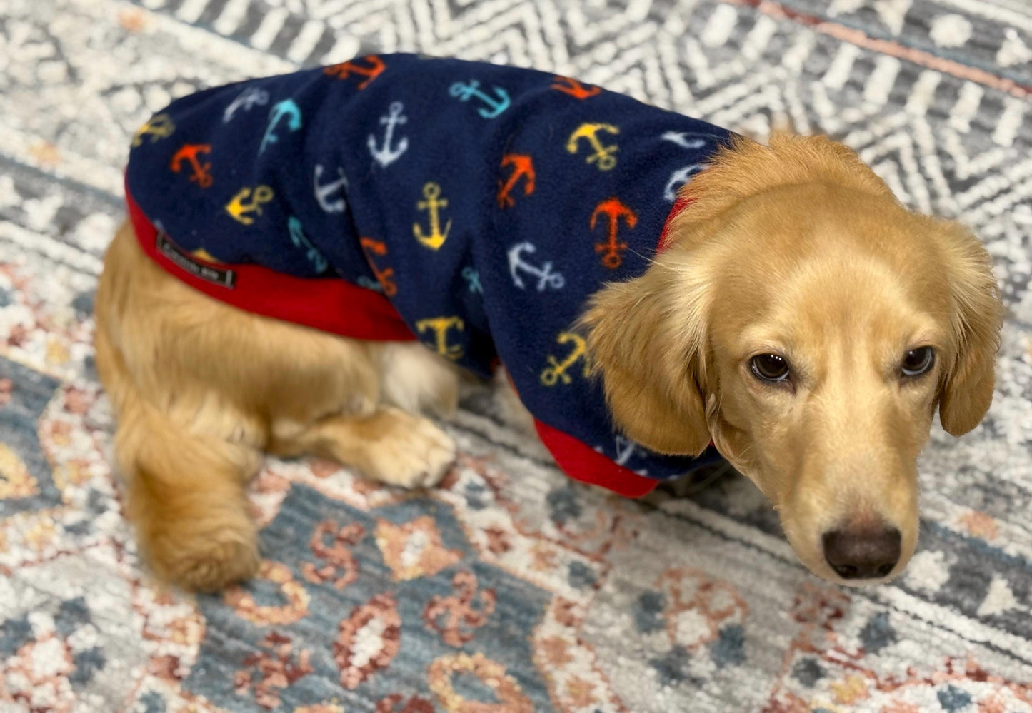 Personalized Dachshund Fleece Jumper: Water Repellent Dog Coat