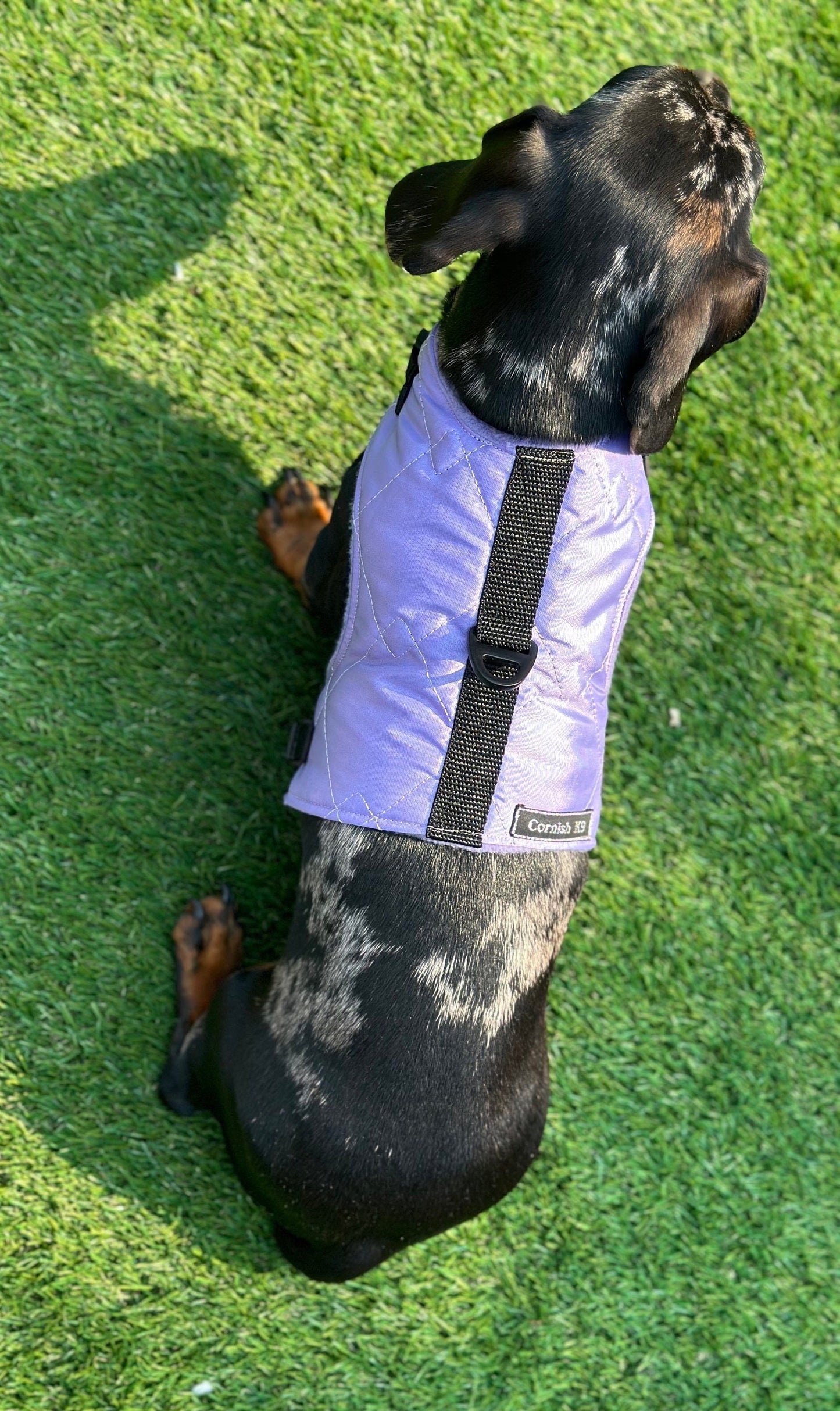Waterproof Quilted Dachshund Harness: Fleece Lined, No-Rub Design